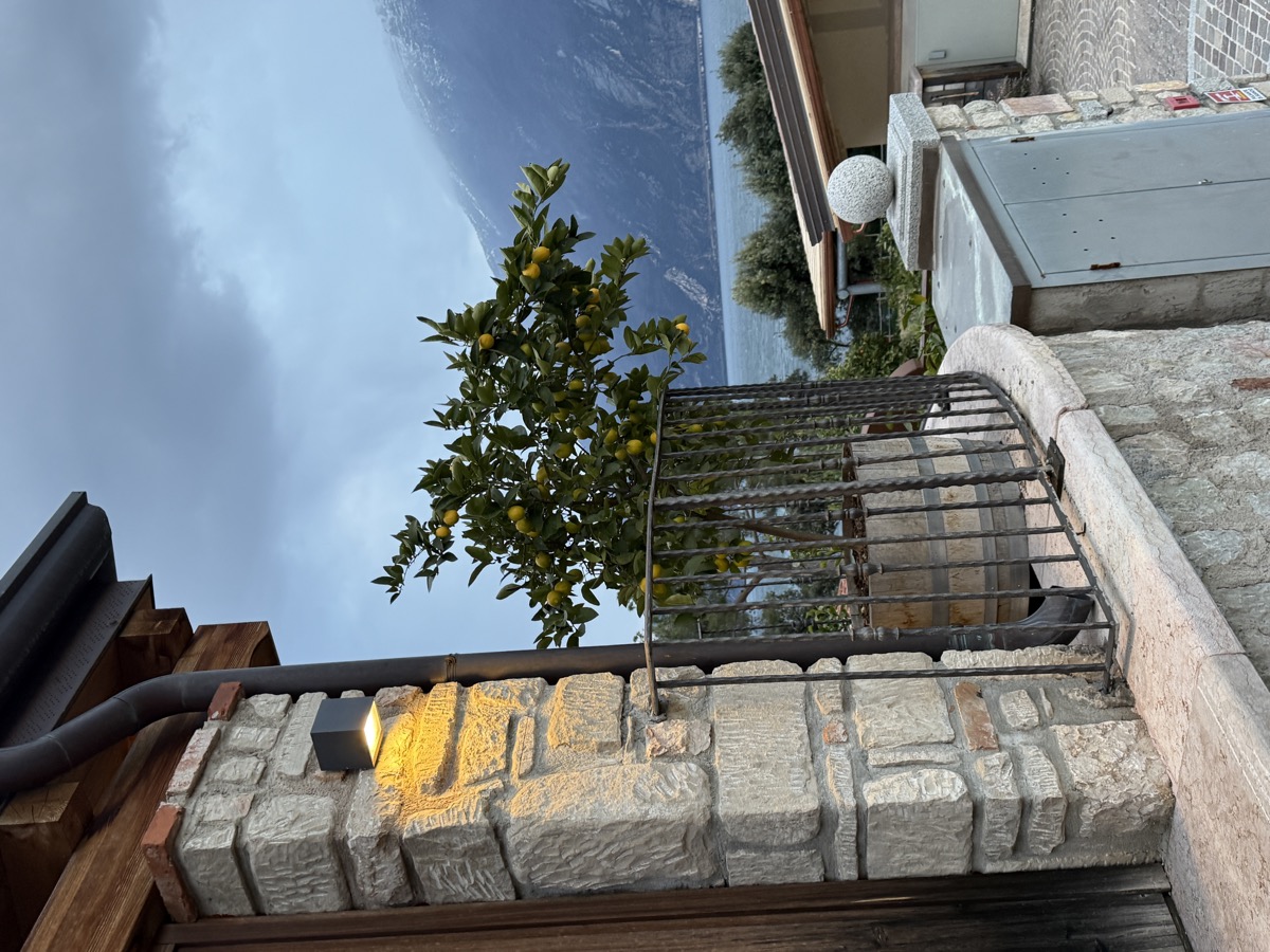 Lemon tree in Limone sul Garda