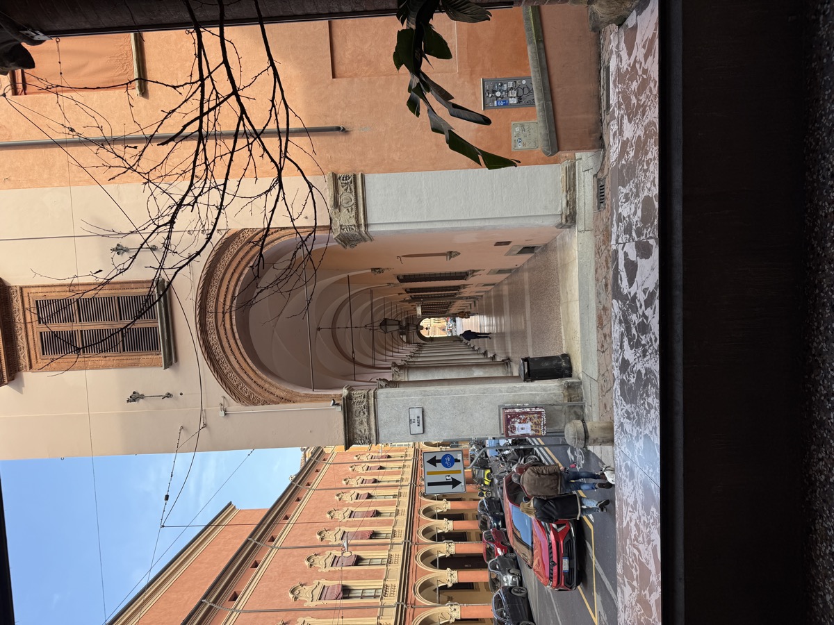 Bologna porticoes from window