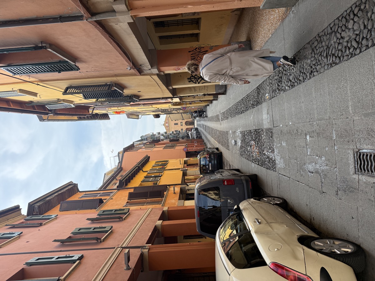 Narrow street in Bologna